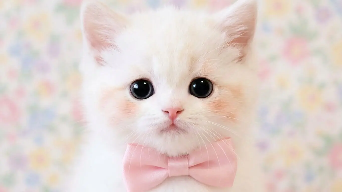 Kawaii_prompt_examples_202601061621 (1)