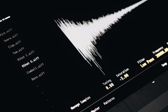 A computer screen with a sound wave on it