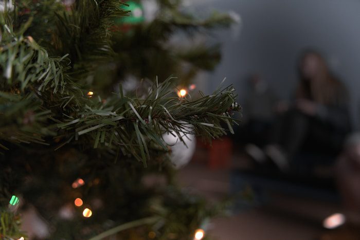 a tree with lights