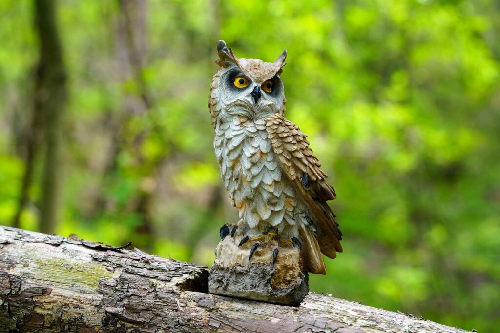 owl, mountain, valley, flower background, beautiful flowers, beauty, flower wallpaper, nature, abstract, life, flower, clean, green, moss, tree, forest, environment, wild, wild flower, beautiful, healing